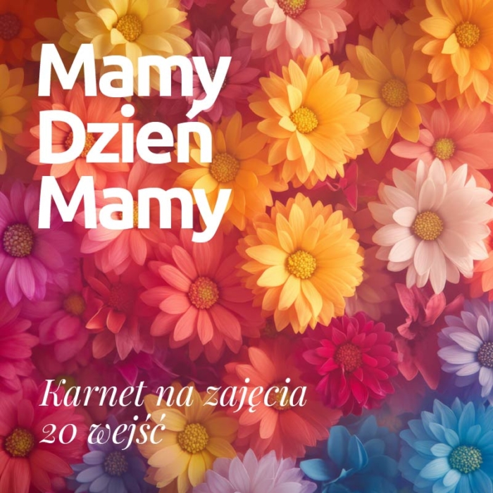 Karnet na zajęcia <br>20 wejść