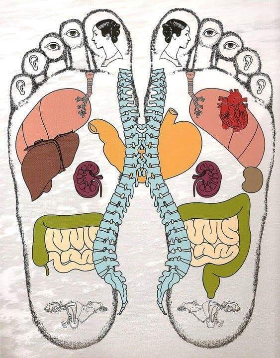 refleksologia